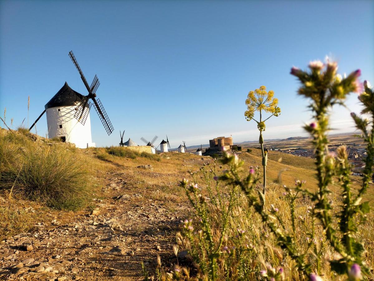 Azafran Consuegra Guest House Bagian luar foto